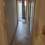 Apartament Soleschiano *